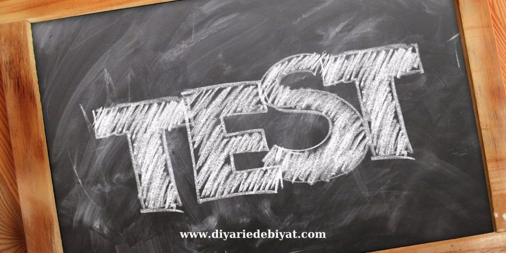 Cümlede Anlam Testi
