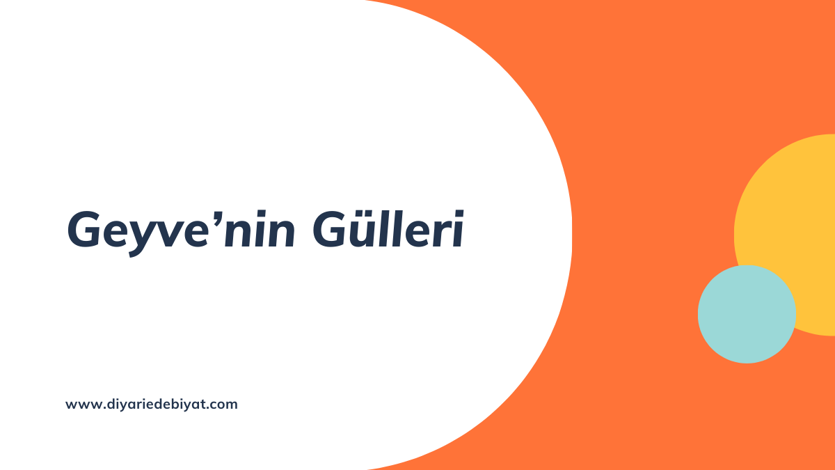 Geyve’nin Gülleri