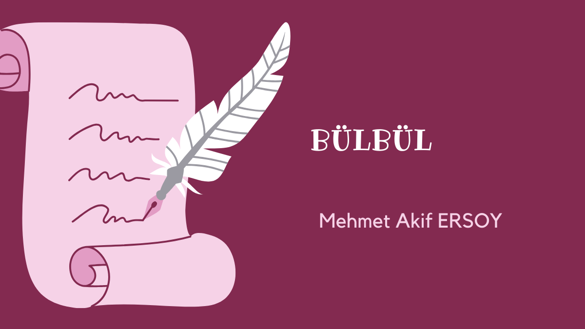 BÜLBÜL