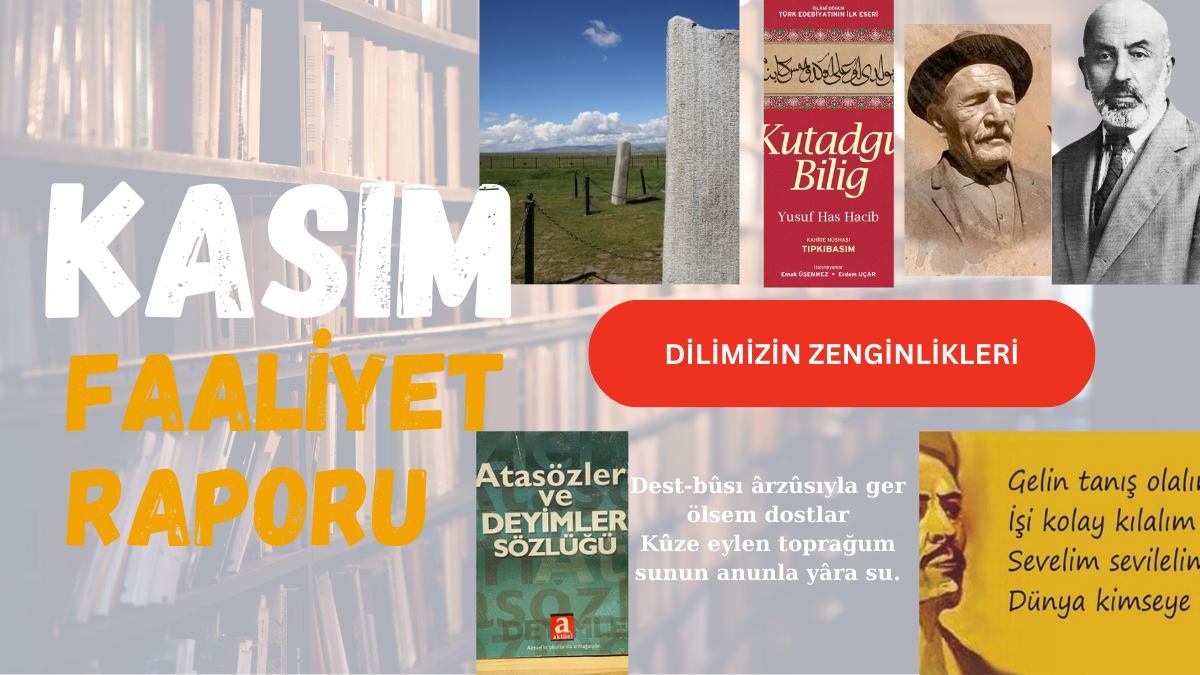 Dilimizin Zenginlikleri Kasım Ayı Faaliyet Raporu